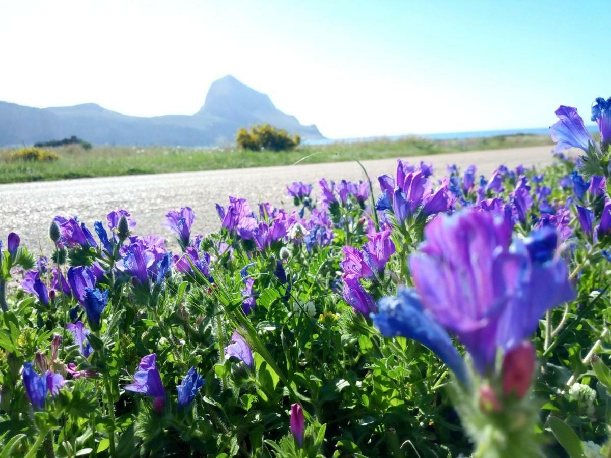 Karma B&B San Vito Lo Capo Eksteriør bilde